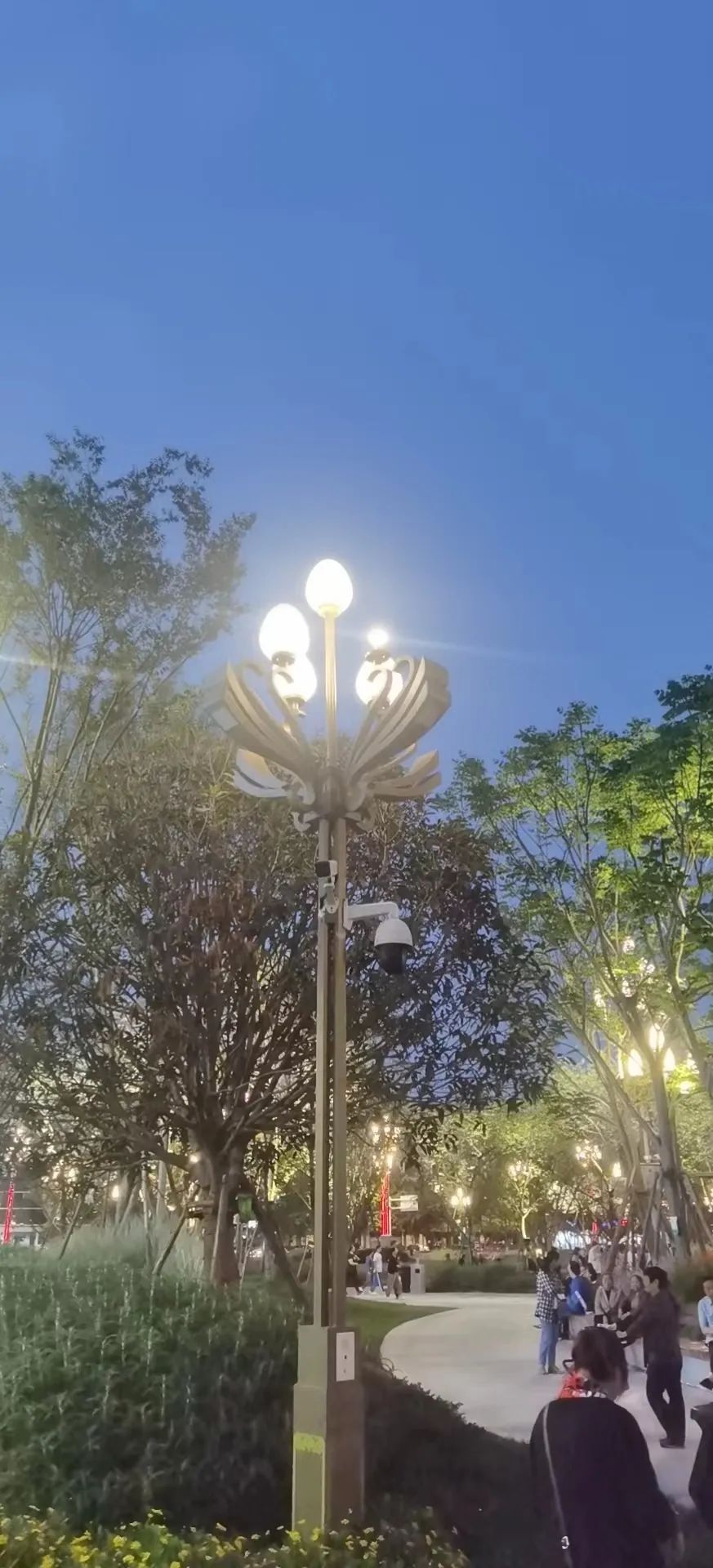 熙枚物联玉兰高照路灯