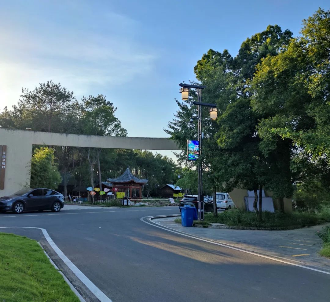 美丽乡村智慧路灯